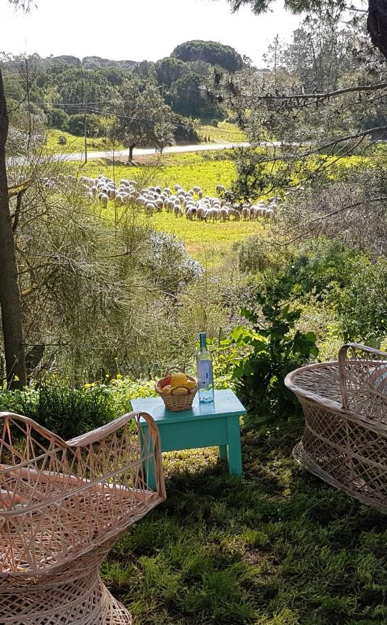 Morphee Valdareina, Piscine Chauffee, Benagil-Carvoeiro Apartman Carvoeiro  Kültér fotó