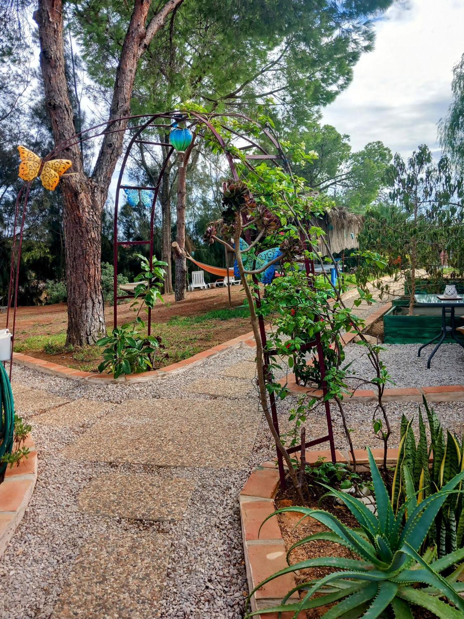 Morphee Valdareina, Piscine Chauffee, Benagil-Carvoeiro Apartman Carvoeiro  Kültér fotó